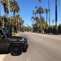 Отзыв от Альберт - виза ДТВ